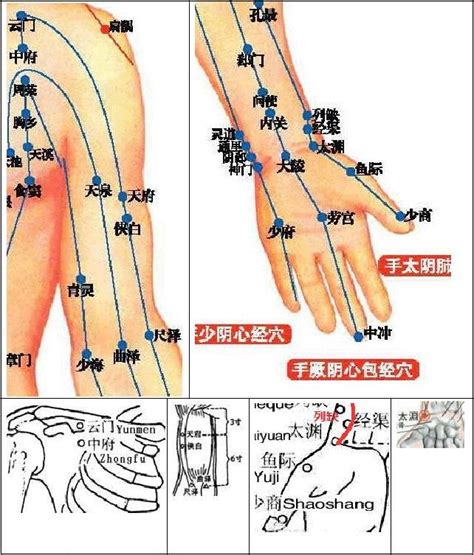 人身穴位圖|最全经络和穴位高清动图（附103个疾病对应特效穴）